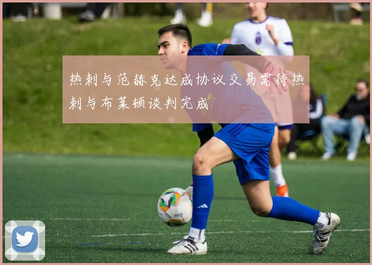 热刺与范赫克达成协议交易需待热刺与布莱顿谈判完成